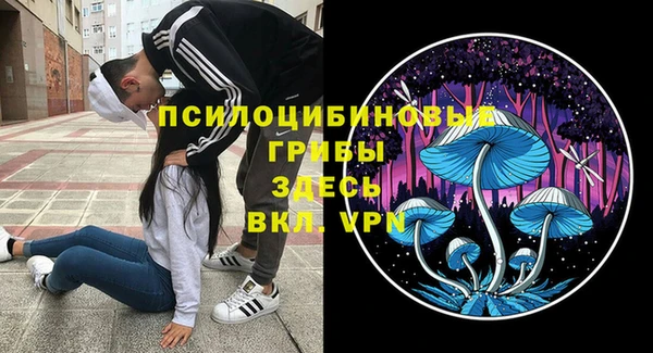 мет Богородицк