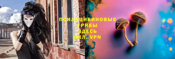 мдпв Саяногорск